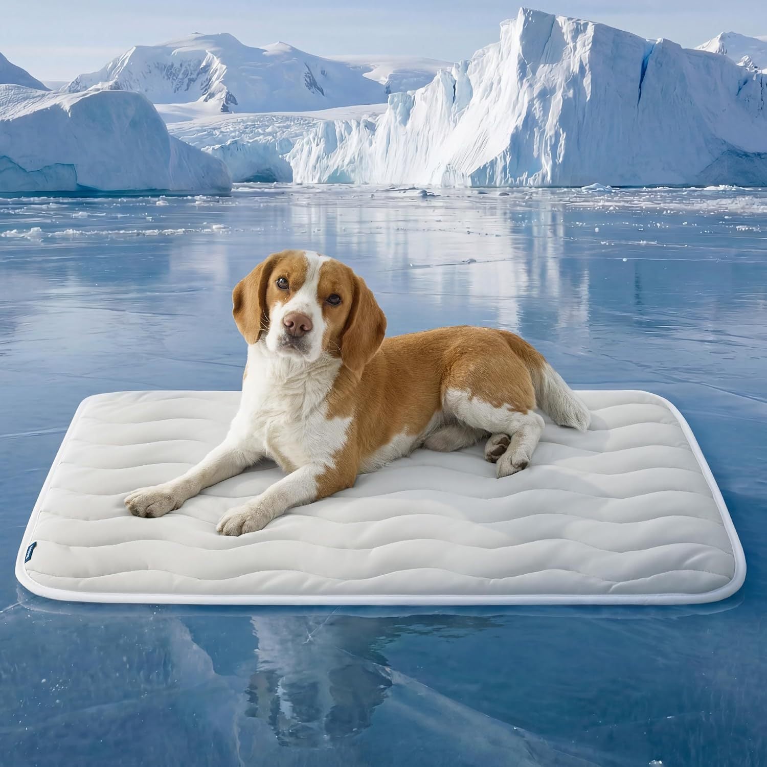 Natural Self-Cooling Pet Mat for Dogs & Cats