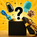 Mystery Gift