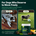 PawFlex™ Hip & Joint Chews for Dogs